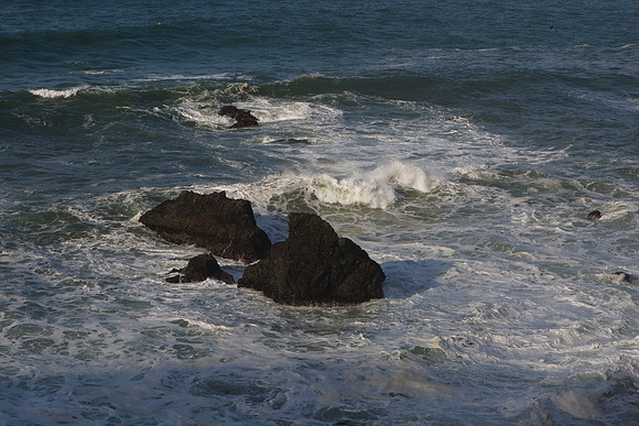 2008 11 02 09-46-10  077