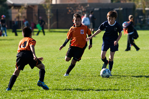 2010 11 14 13-47-26  561_