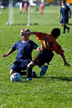 2010 11 14 13-46-04  548_